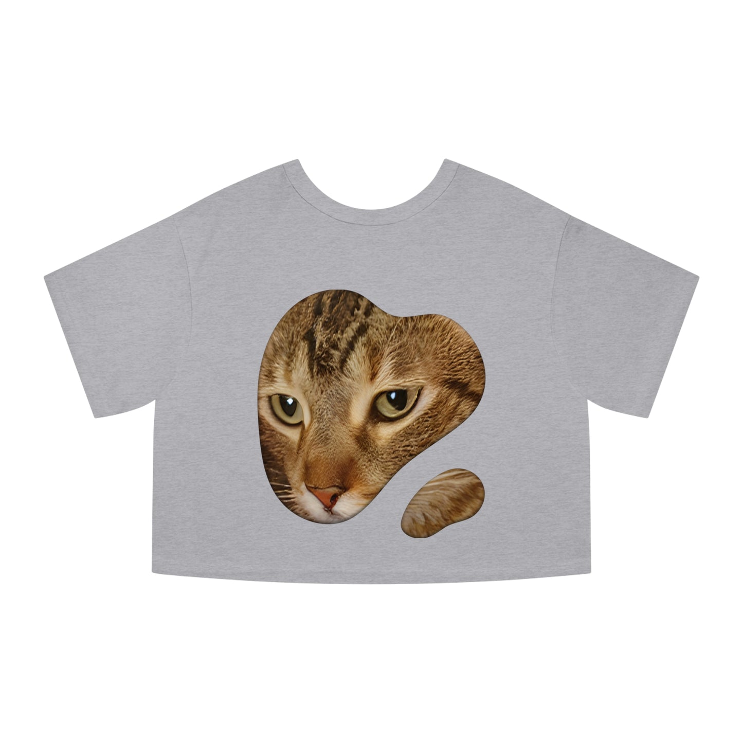 Champion Women's Heritage Cropped T-Shirt Cat Collection