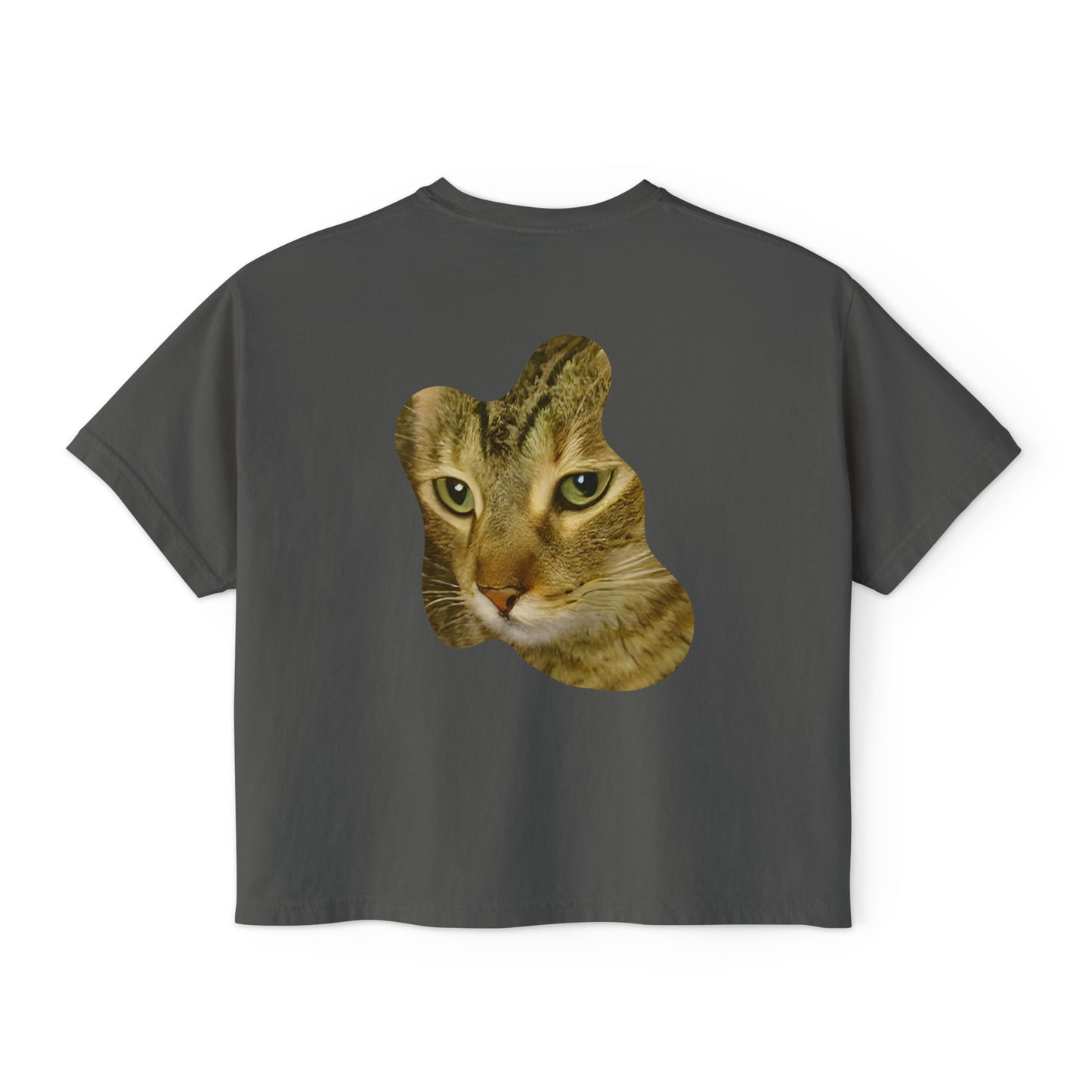 Women's Boxy Tee Cat Collection